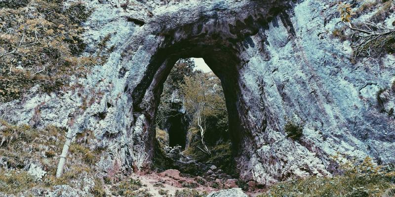 便民信息生活助手：个人衣物护理与高端洗护服务的市场前景分析