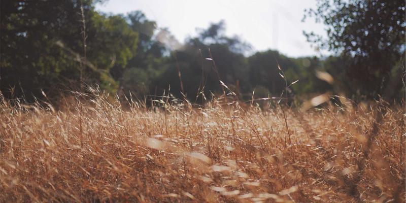 城市白领搬家避坑指南：本地服务如何精算跨区搬迁费用与高效打包技巧