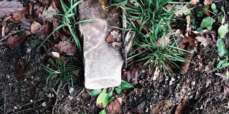 智能家居重塑生活服务生态：本地服务、生活助手与社区资讯的智慧融合