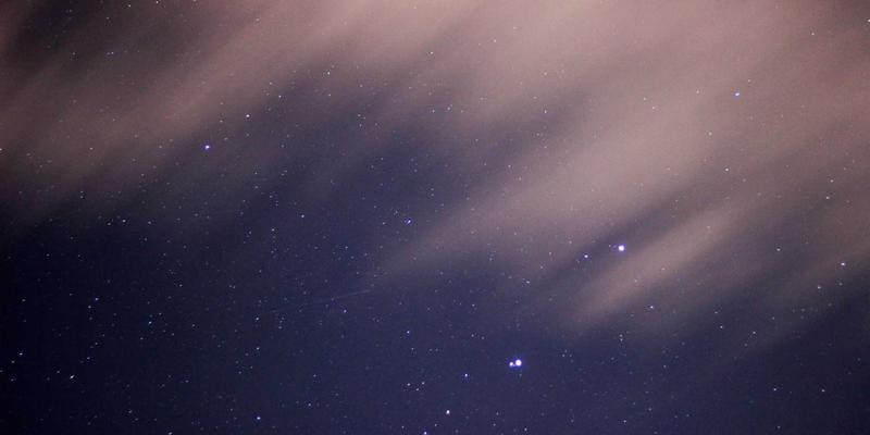 本地化宠物家庭专属服务：从上门喂养到宠物医疗的一站式便民解决方案