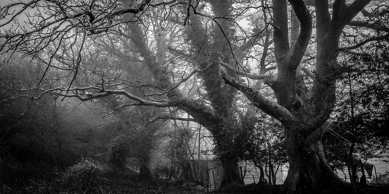 本地服务与社区资讯新选择:来234如何连接您与身边的优质生活