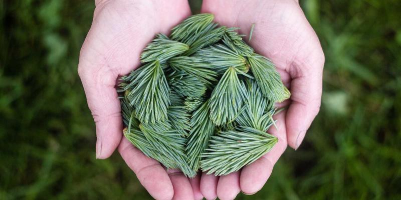 来234:打造一站式社区资讯与生活服务新生态