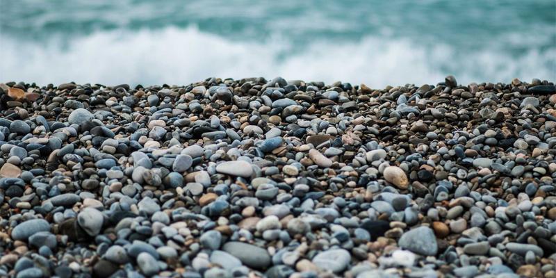 来234生活助手：社区花园共建中的三大生活服务新体验