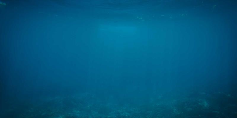 构建信任体系：生活服务类平台如何打造安全的本地二手物品置换生态——以来234为例