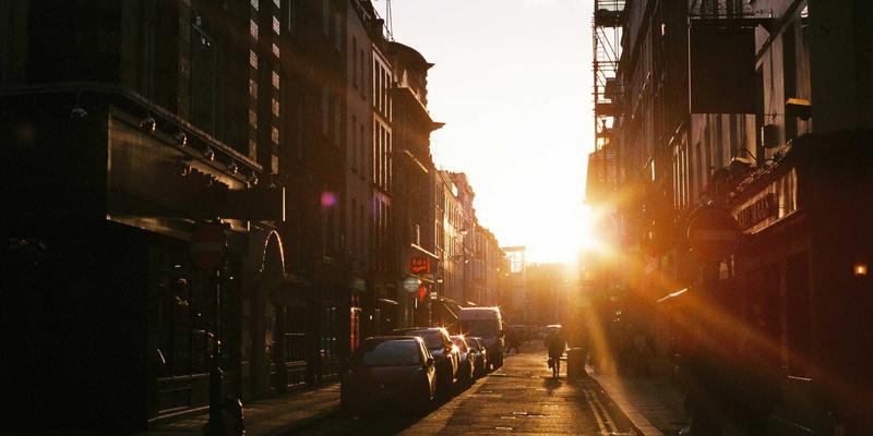 生活助手必备：从植物医生到庭院设计的家庭绿植一站式养护指南
