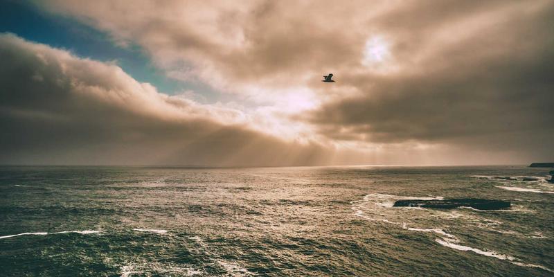 生活服务97：社区资讯与生活助手如何通过“来234”重塑邻里生态