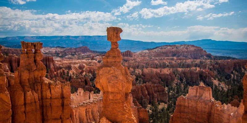 社区共享空间运营指南：如何通过自习室与健身房打造邻里共享新模式 | 来234便民信息