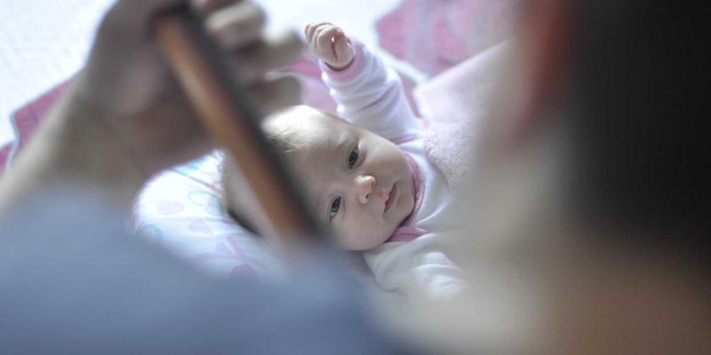 社区团购如何优化家庭生鲜采购：从选品到配送的全流程指南 | 生活助手便民信息