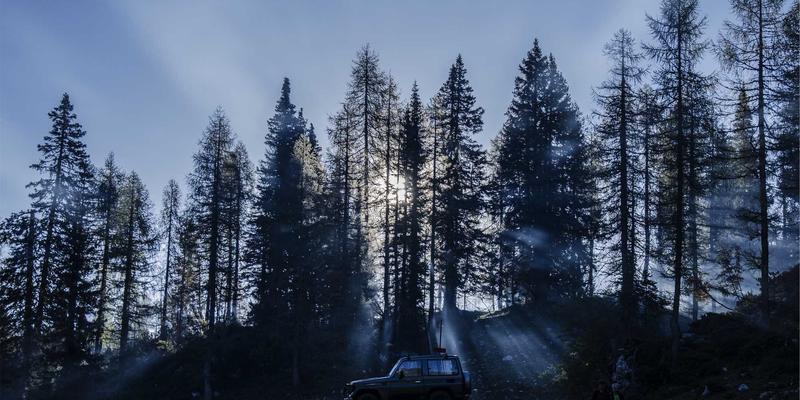 社区资讯与便民信息：数字时代的生活助手如何重塑邻里生态