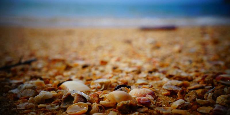 社区资讯与来234平台：如何通过社区团购优化家庭生鲜采购并构建邻里信任