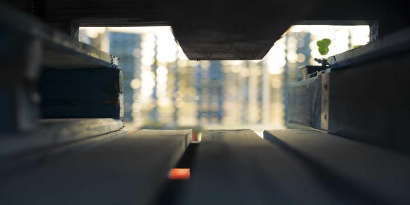 社区资讯新升级：一站式对接健身资源，打造您的专属生活助手