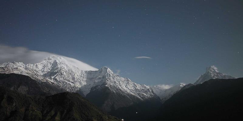 社区资讯×本地服务：打造你的专属数字生活助手