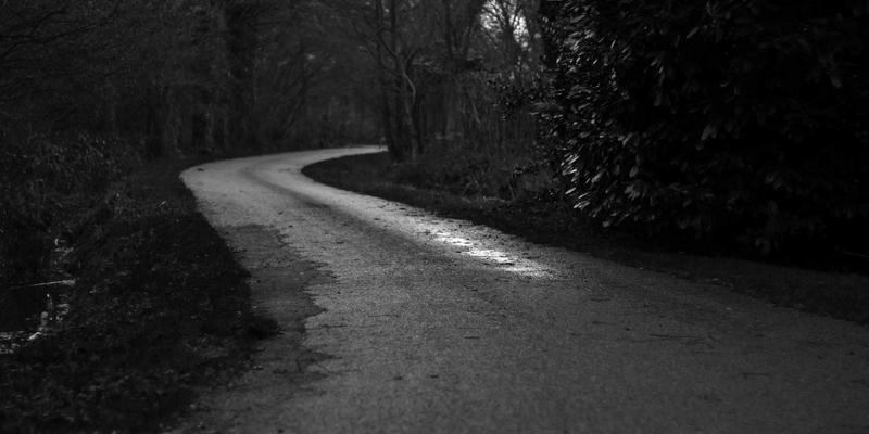 老年人居家养老必备：一份全面的生活服务清单与社区资讯指南