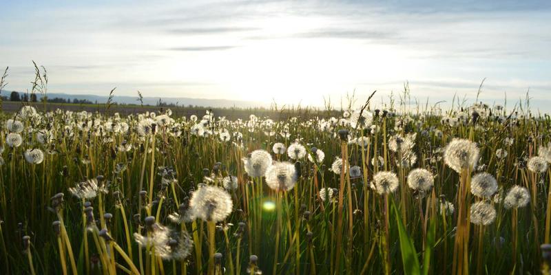 老旧小区改造新篇章：便民信息与生活服务如何填补社区升级的最后一公里