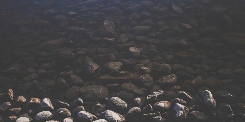 老旧小区适老化改造新篇章：本地服务与社区资讯如何重塑生活服务体验